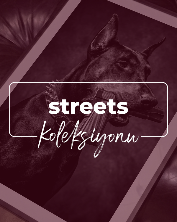 Streets Koleksiyonu