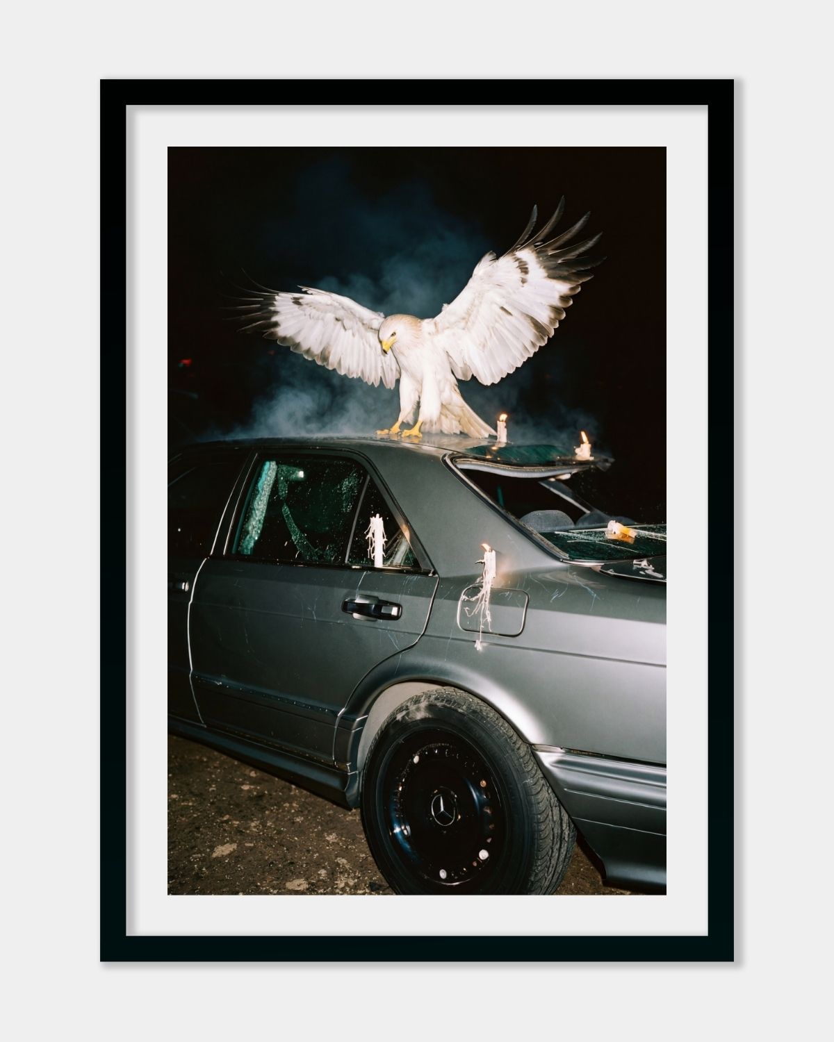 Witness Of The Night