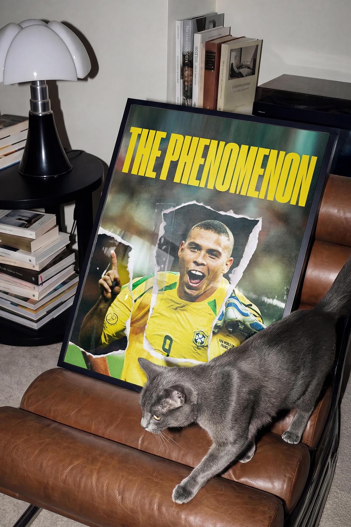 The Phenomenon