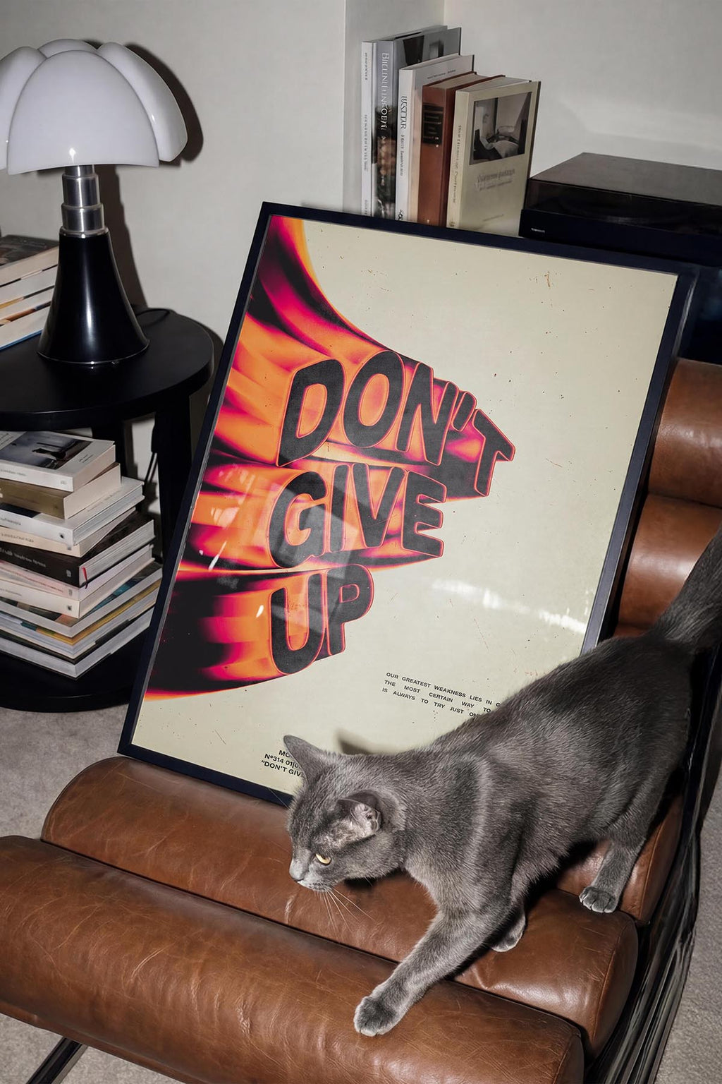 Don't Give Up