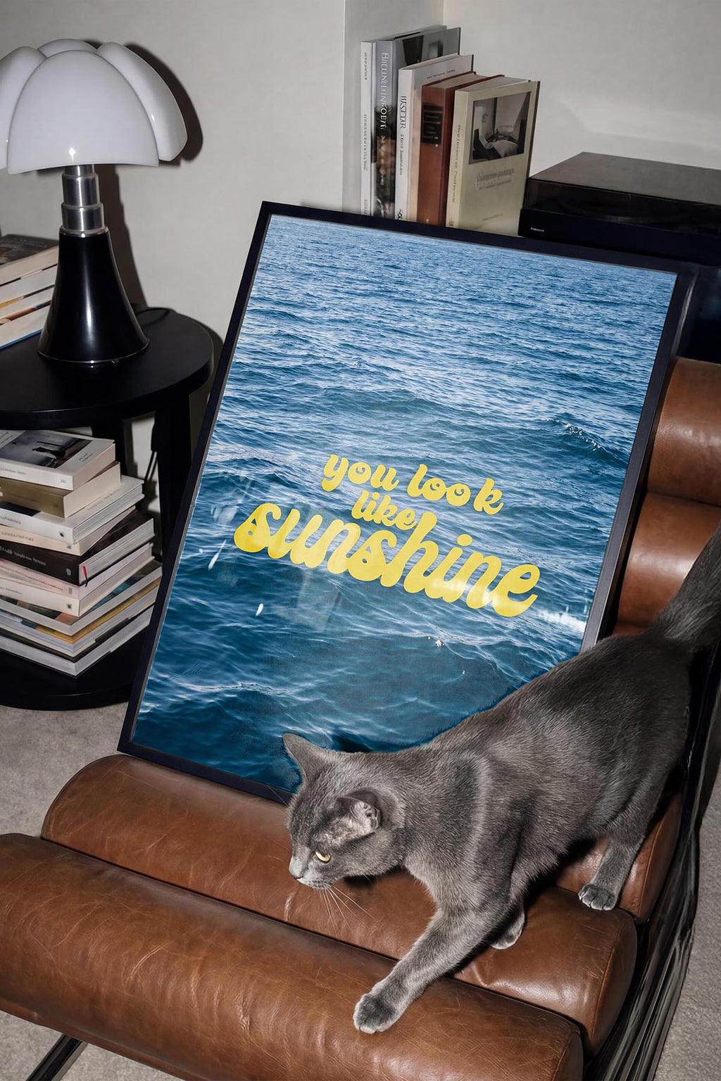 Like Sunshine