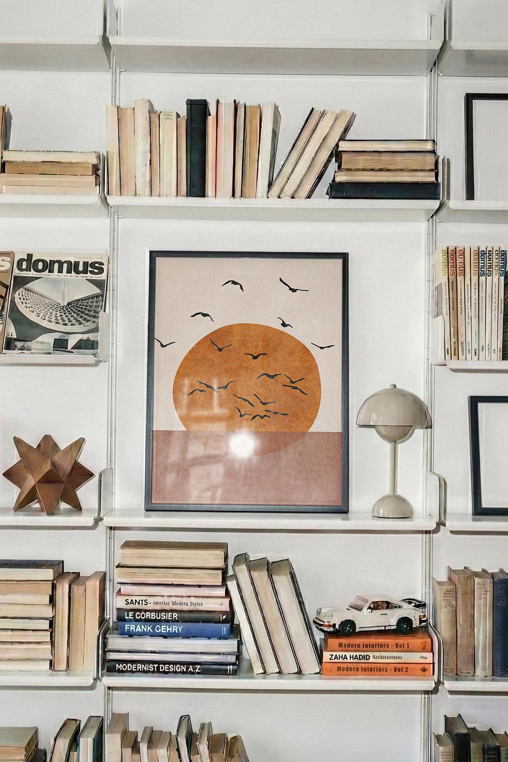 Sunset & Birds
