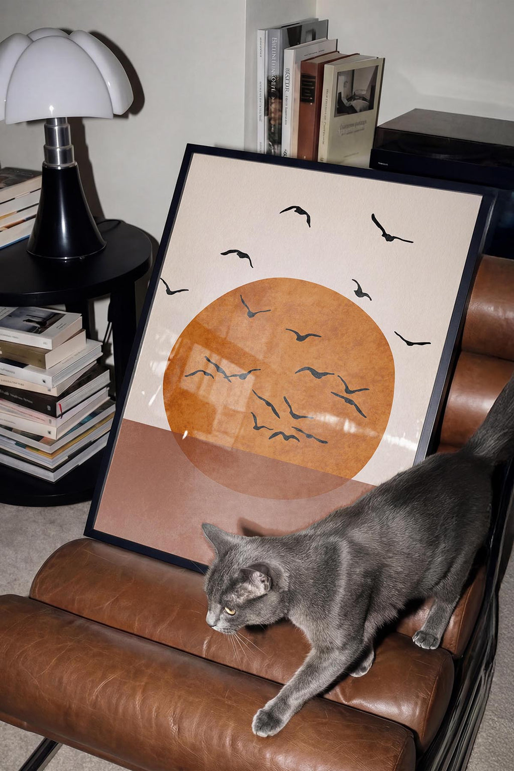 Sunset & Birds