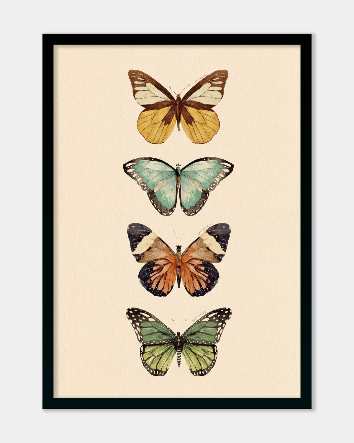 Butterflies