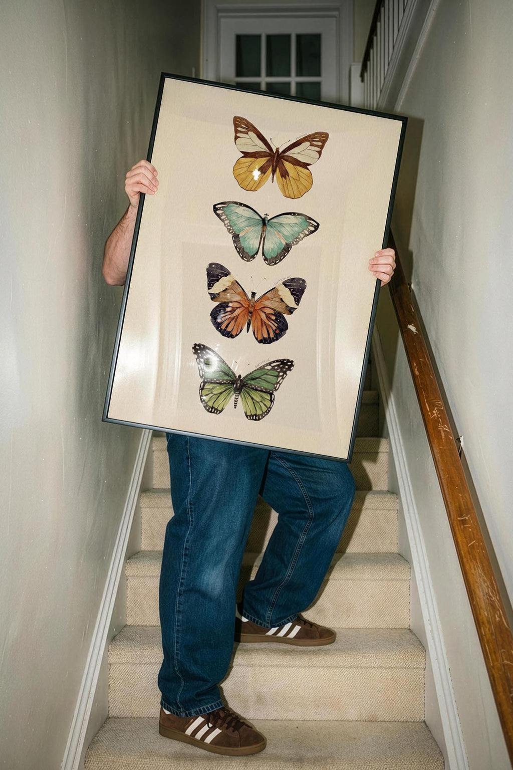 Butterflies