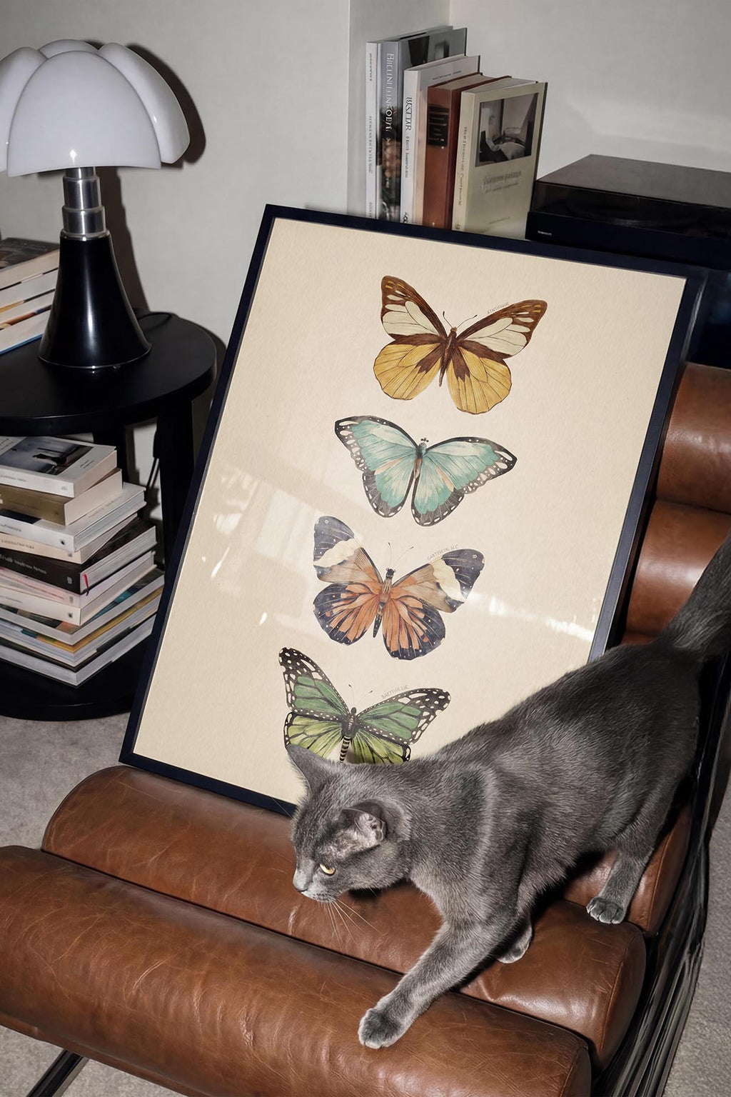 Butterflies