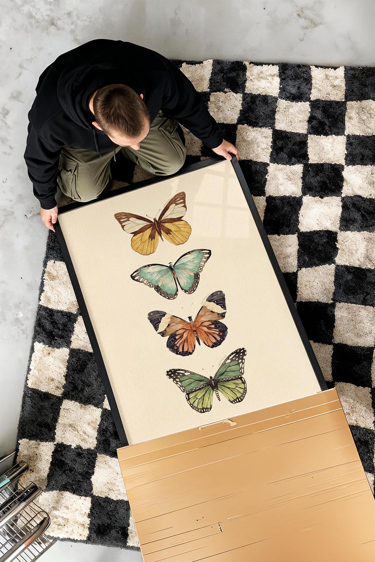 Butterflies