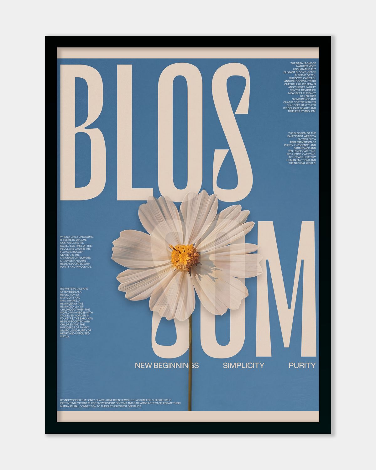 Blossom