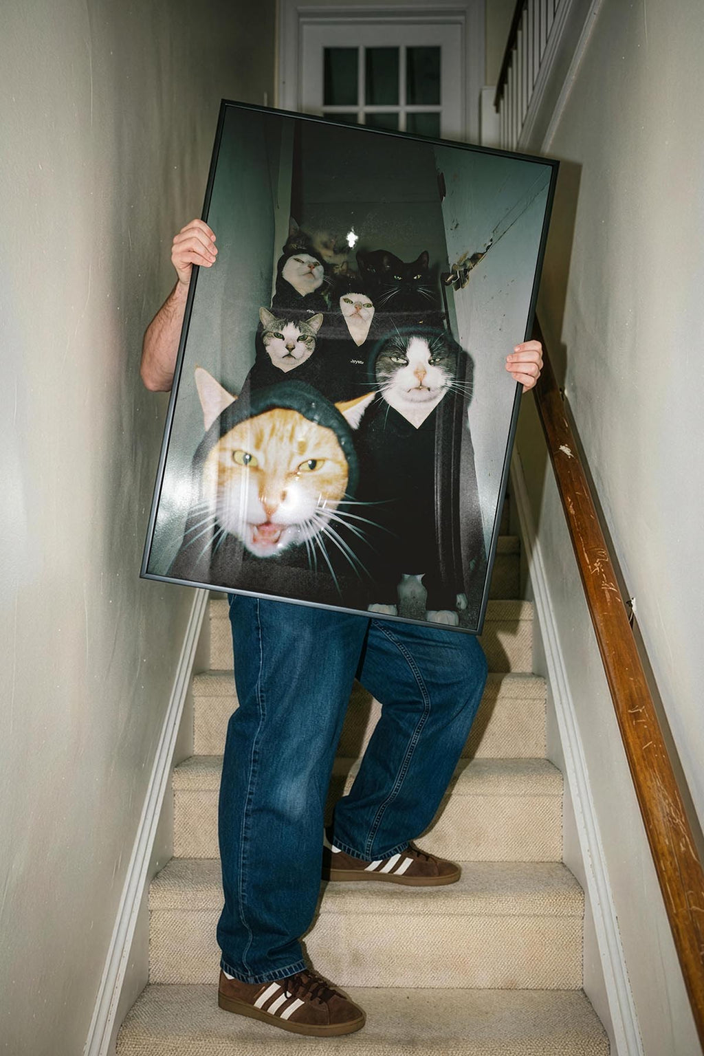 Cats In The Ghetto