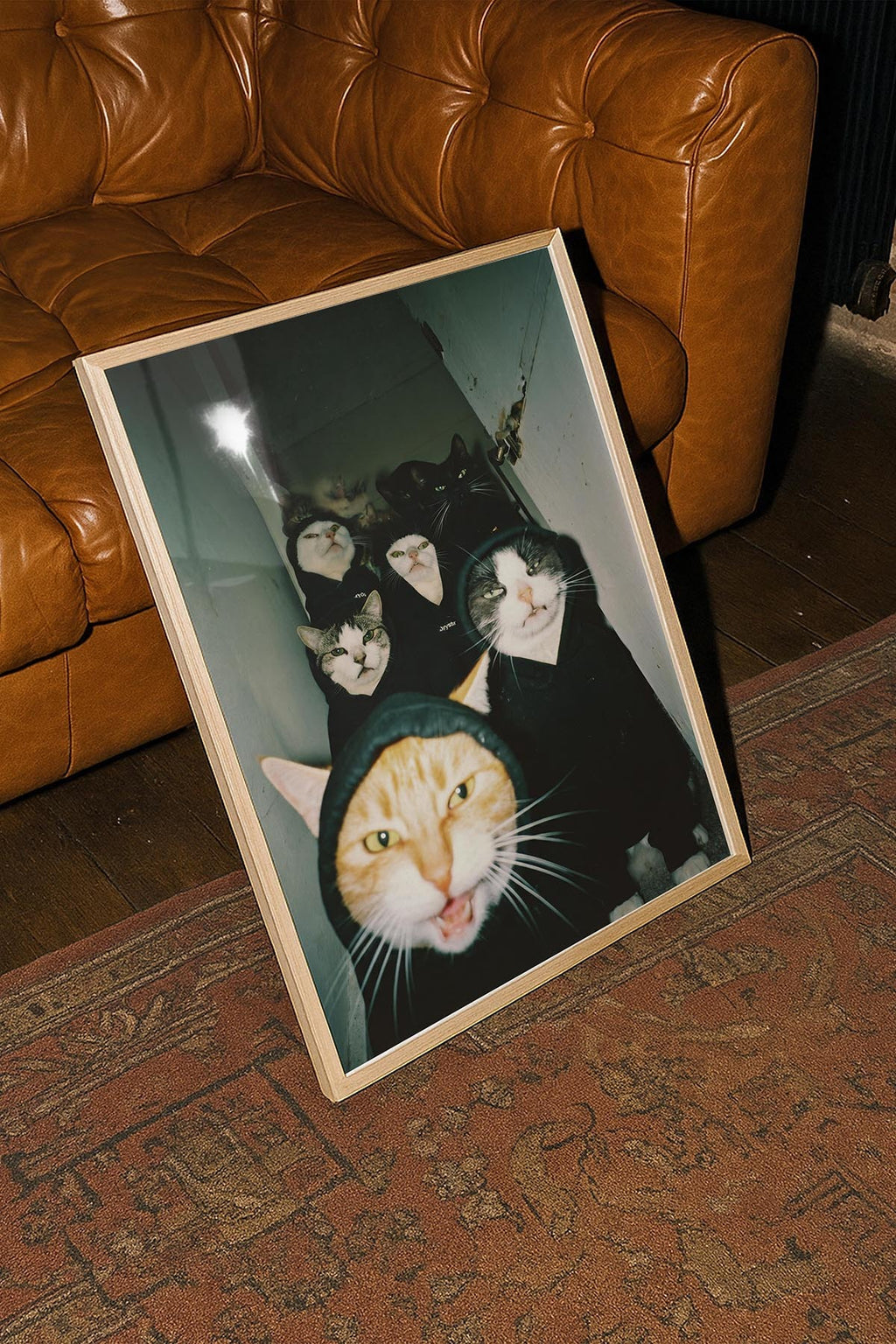 Cats In The Ghetto