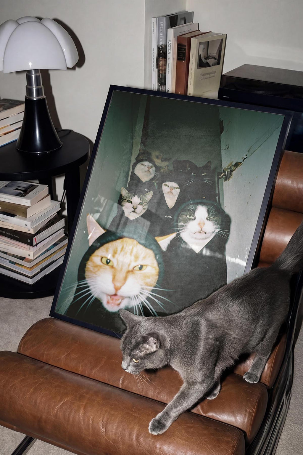 Cats In The Ghetto