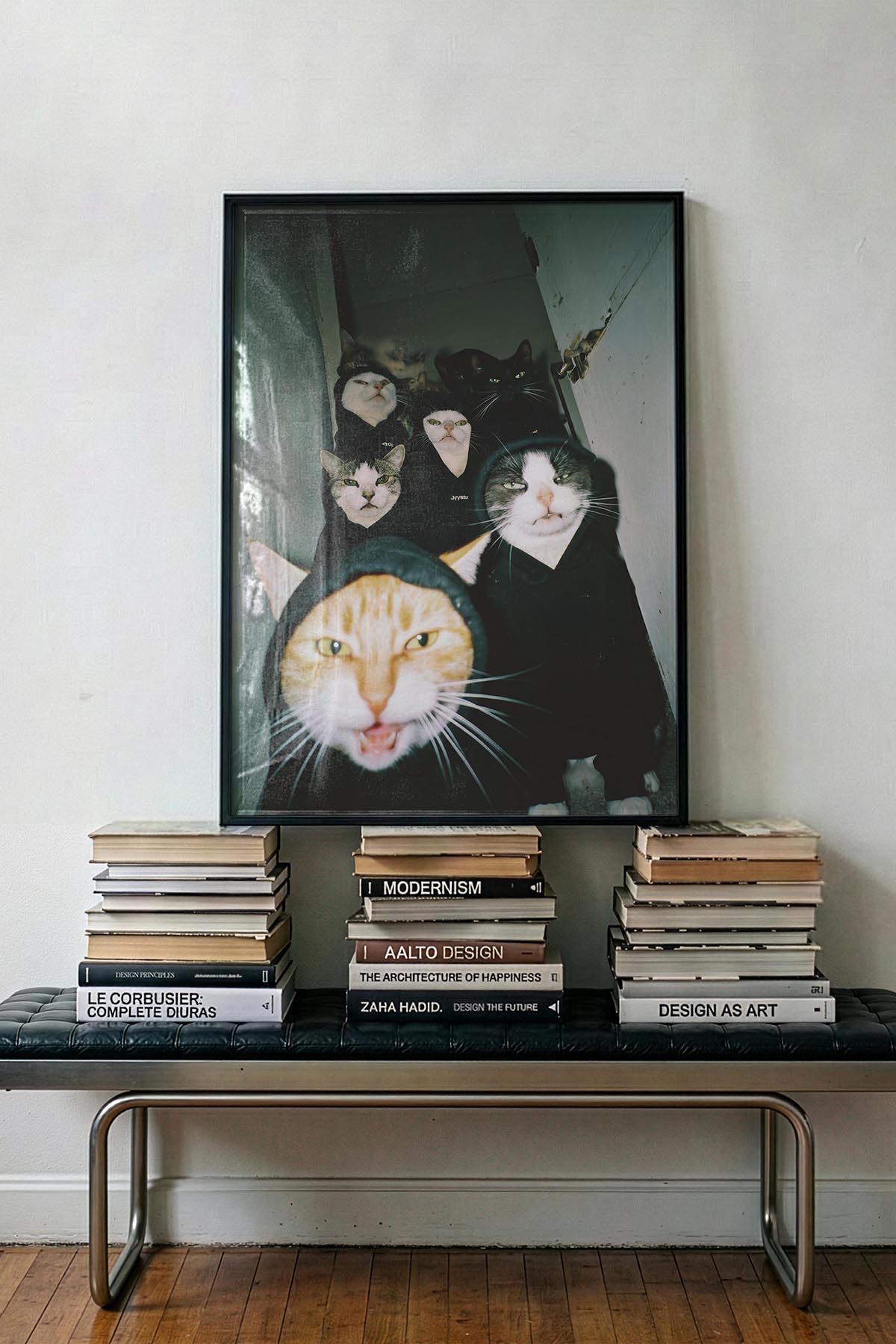 Cats In The Ghetto