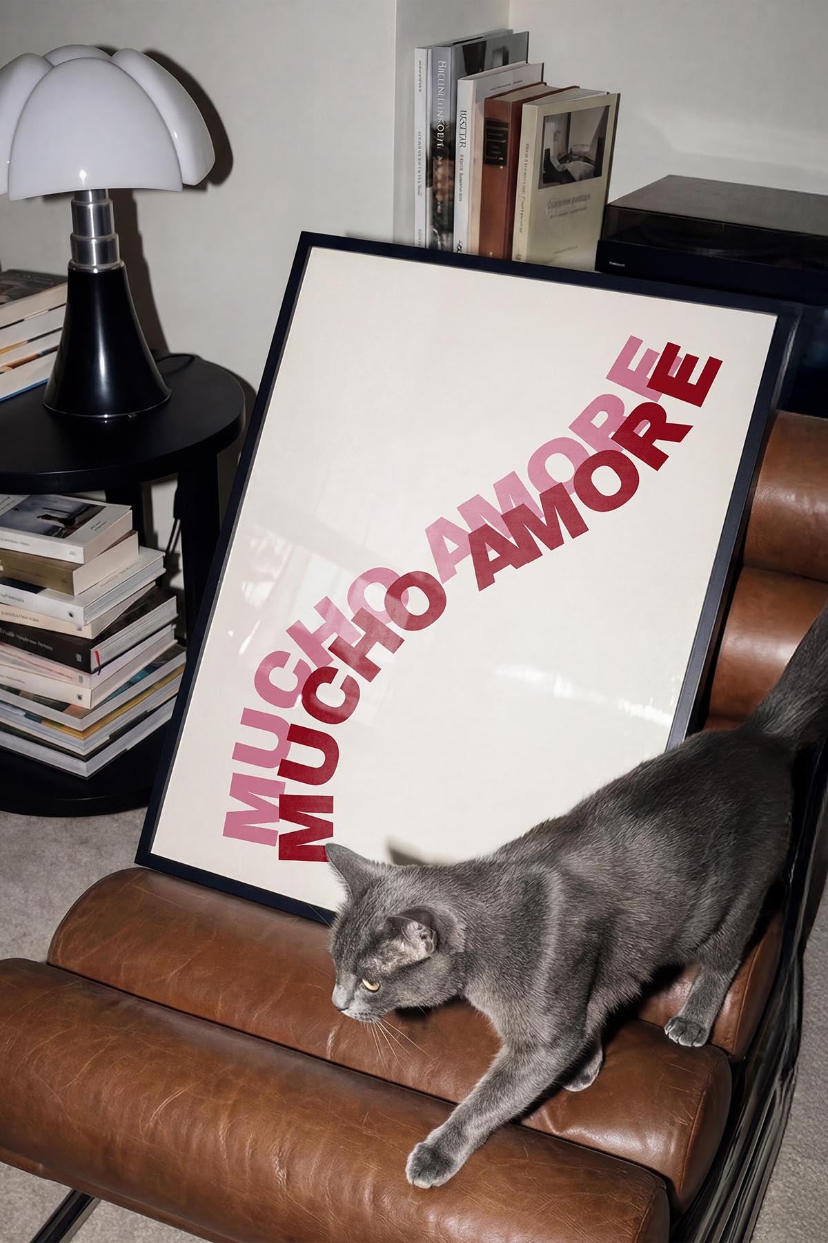 Mucho Amore