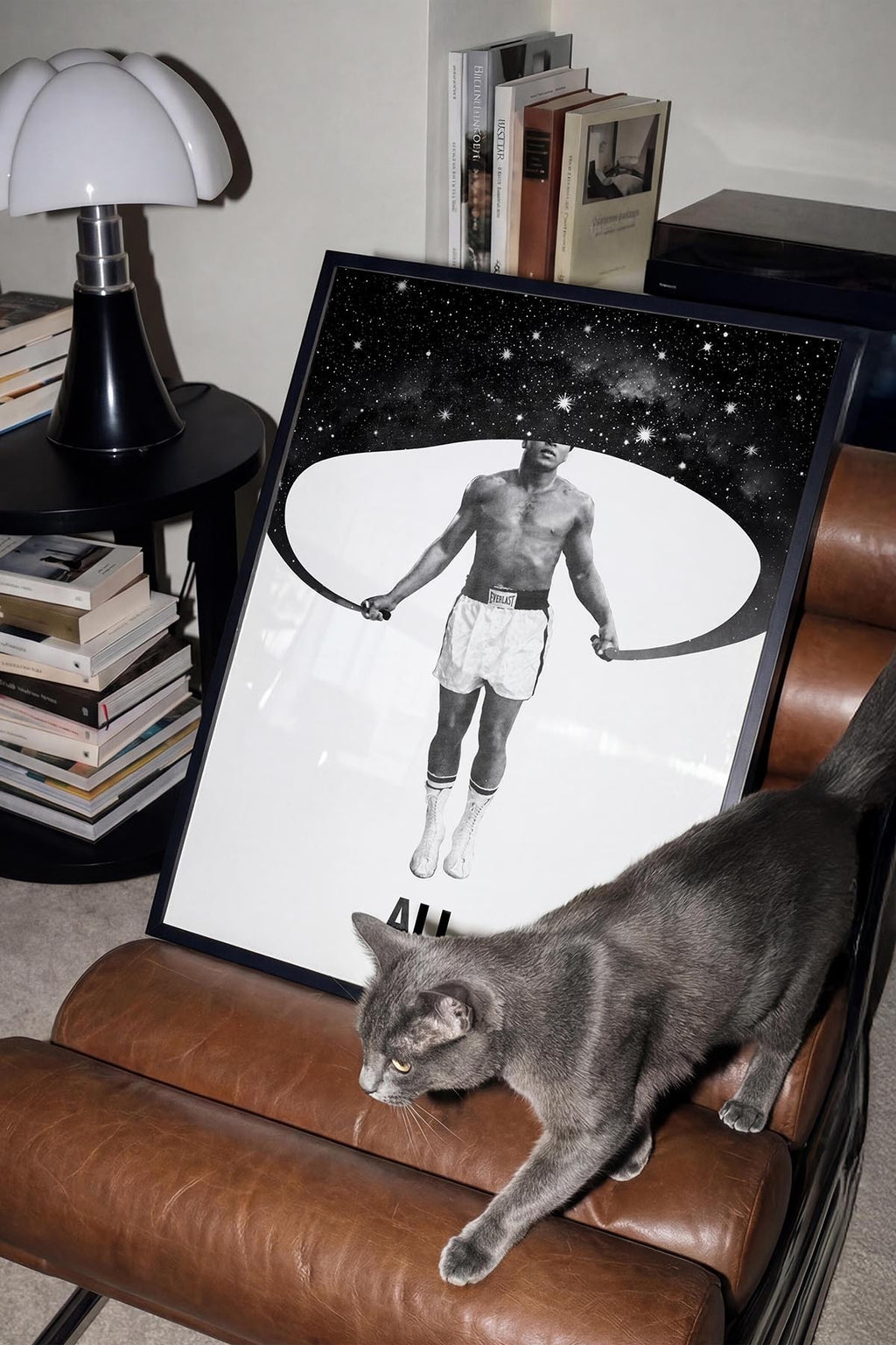 Ali & The Galaxy