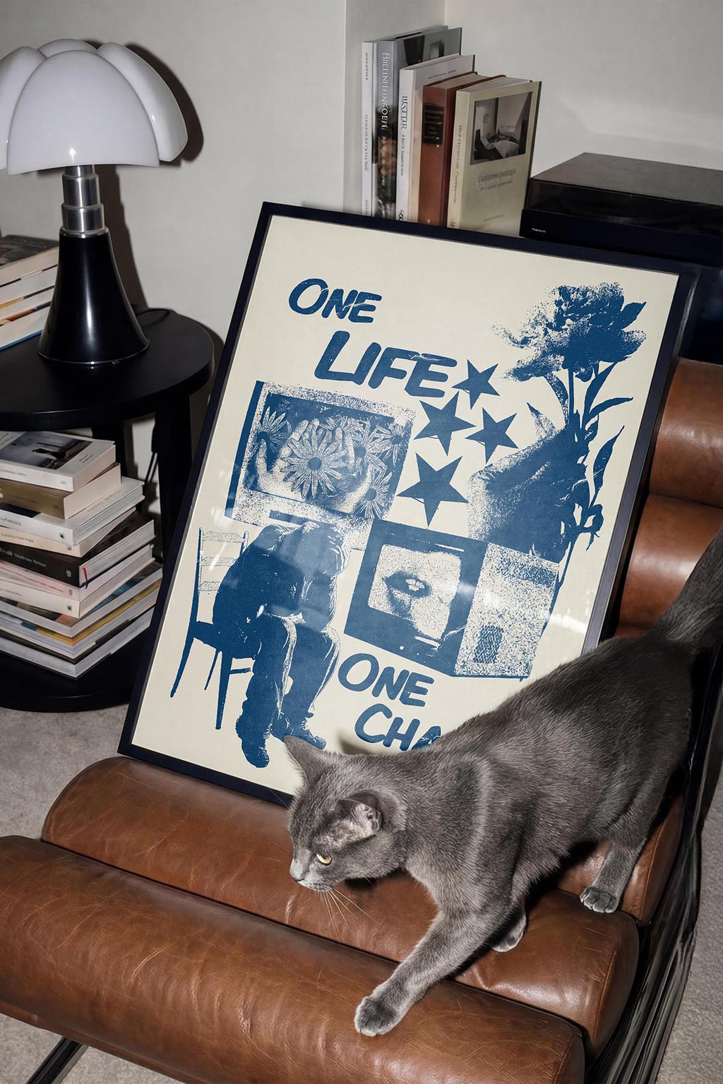 One Life One Chance