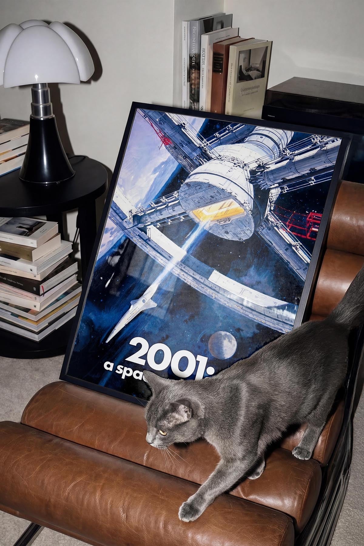 A Space Odyssey