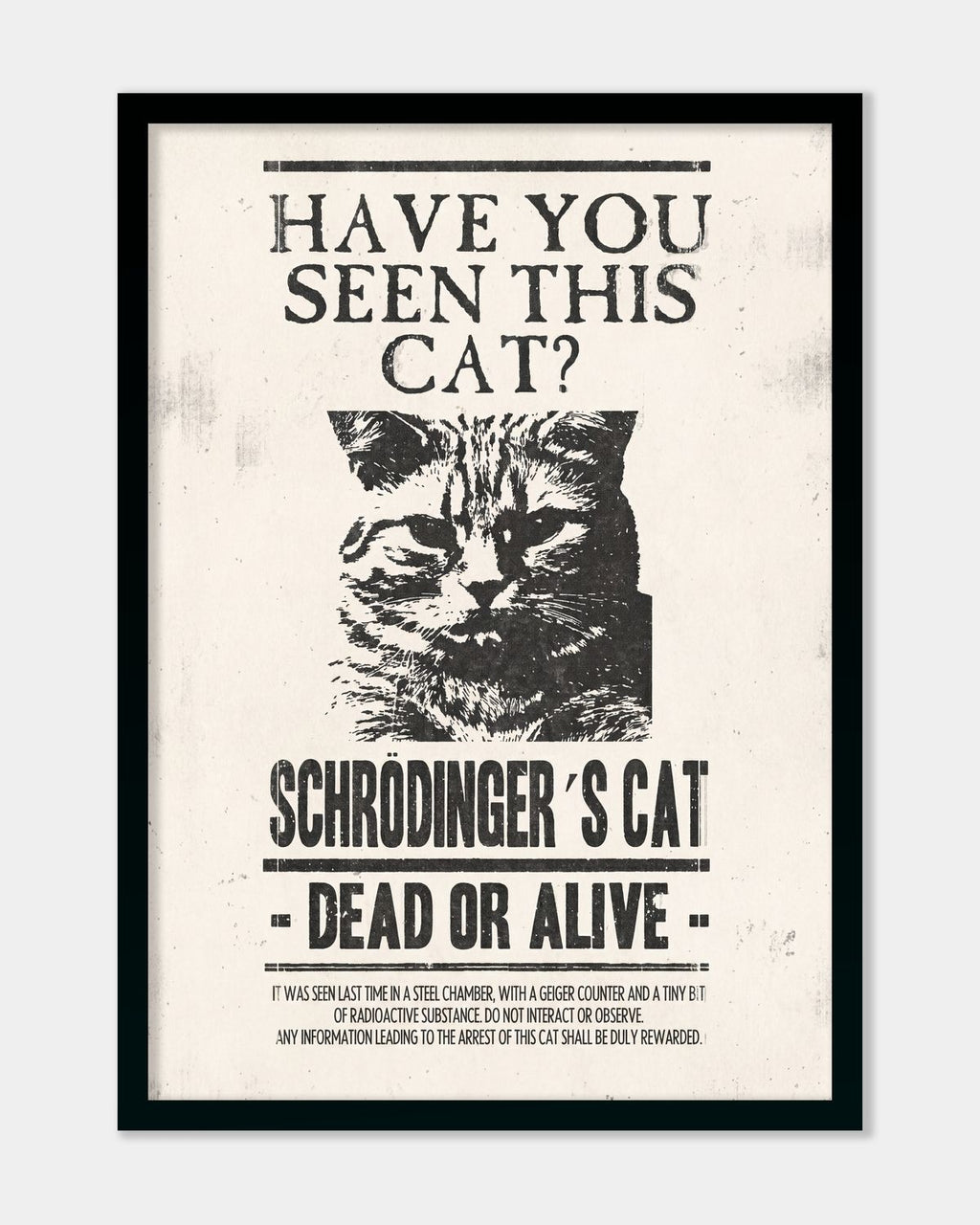 Have U Seen This Cat?