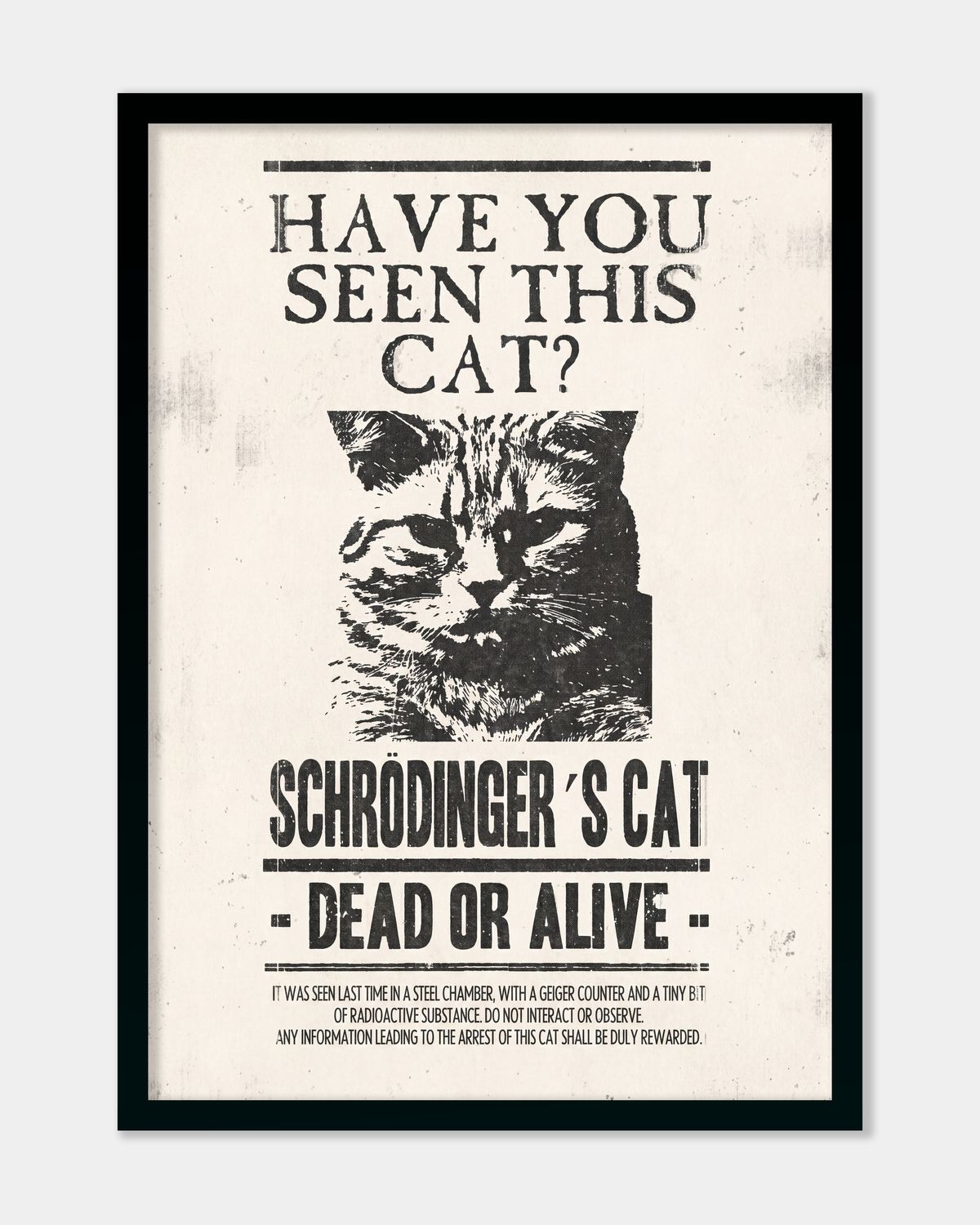 Have U Seen This Cat?