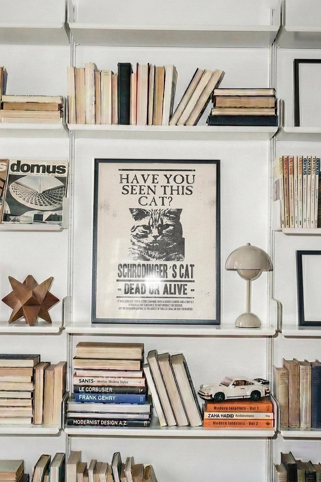 Have U Seen This Cat?