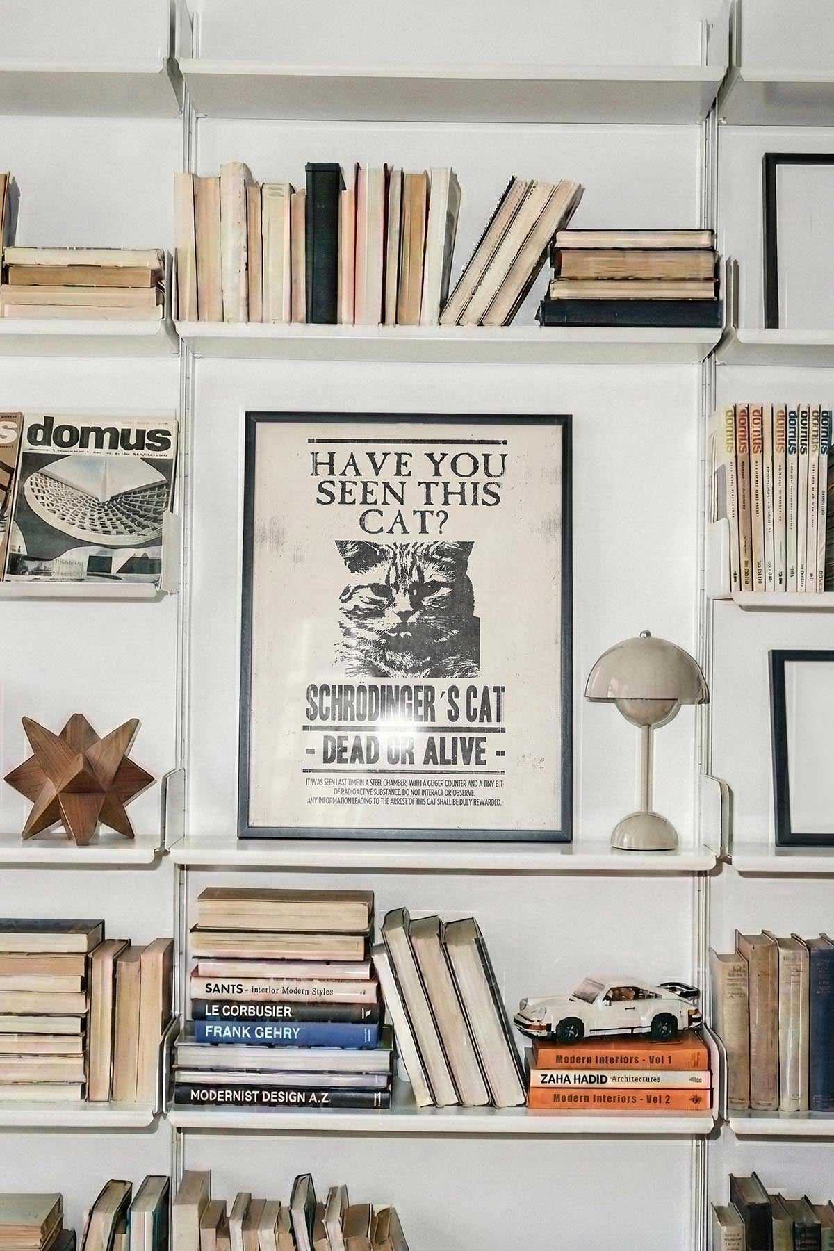 Have U Seen This Cat?