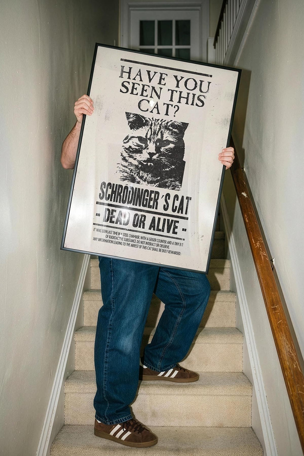 Have U Seen This Cat?