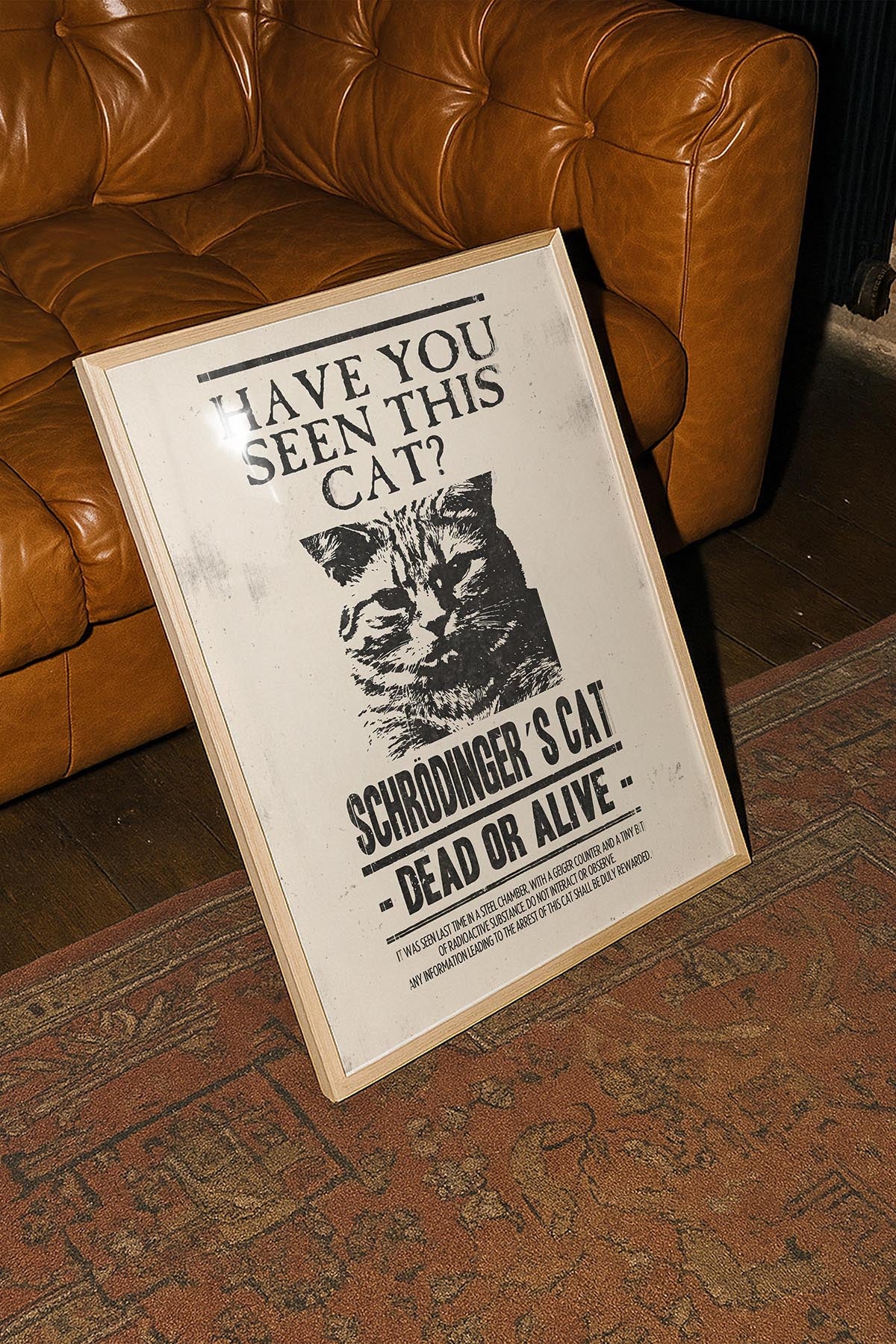 Have U Seen This Cat?