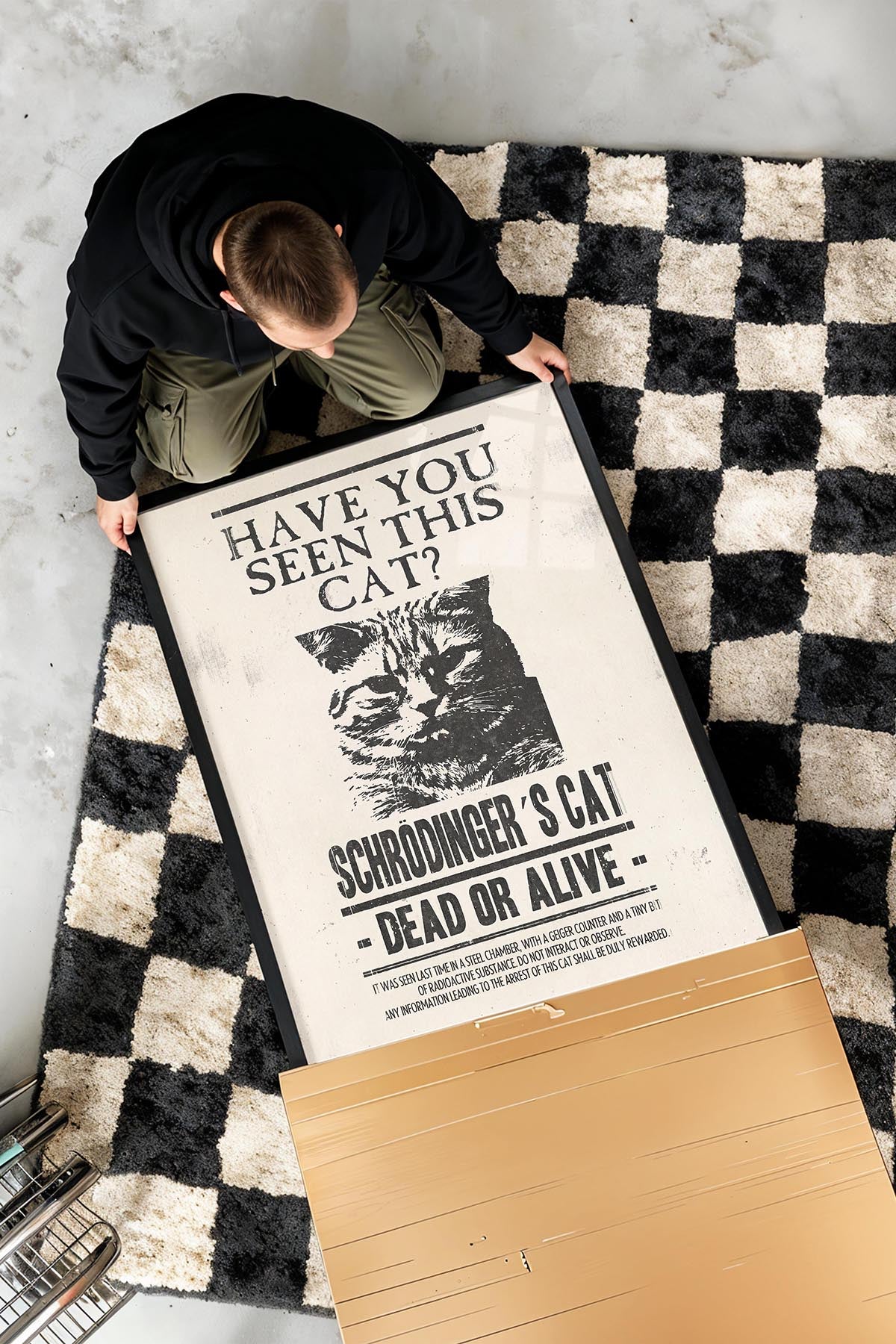 Have U Seen This Cat?