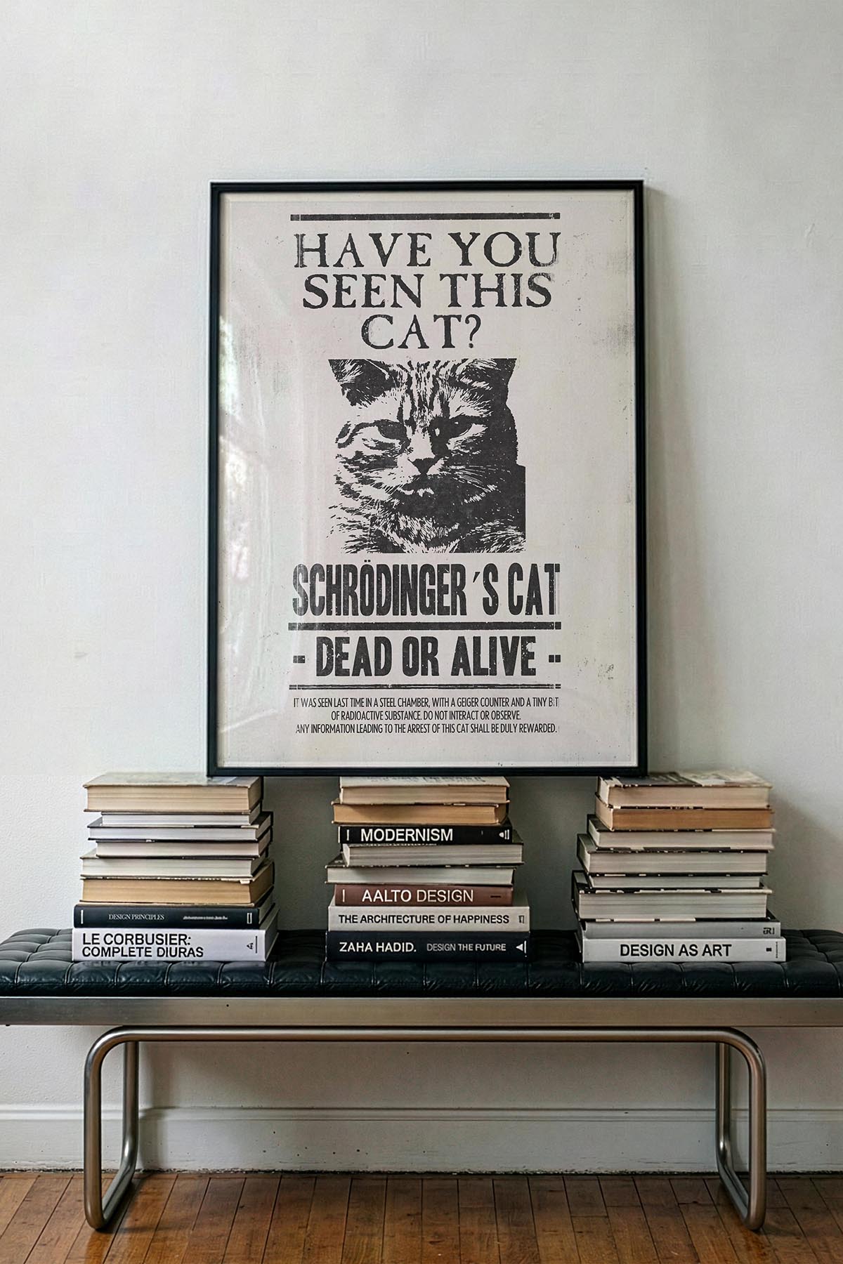 Have U Seen This Cat?