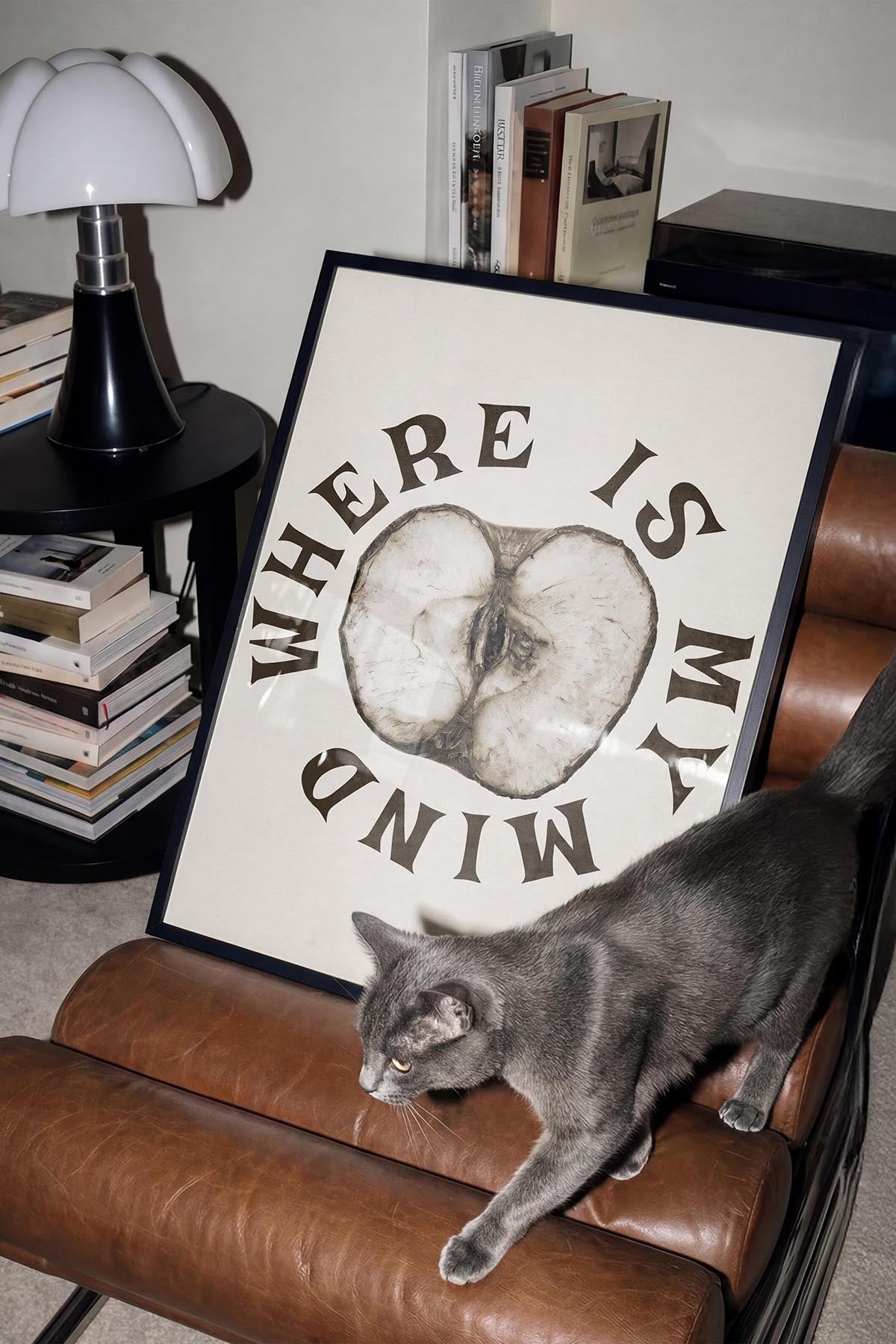 Where Is My Mind