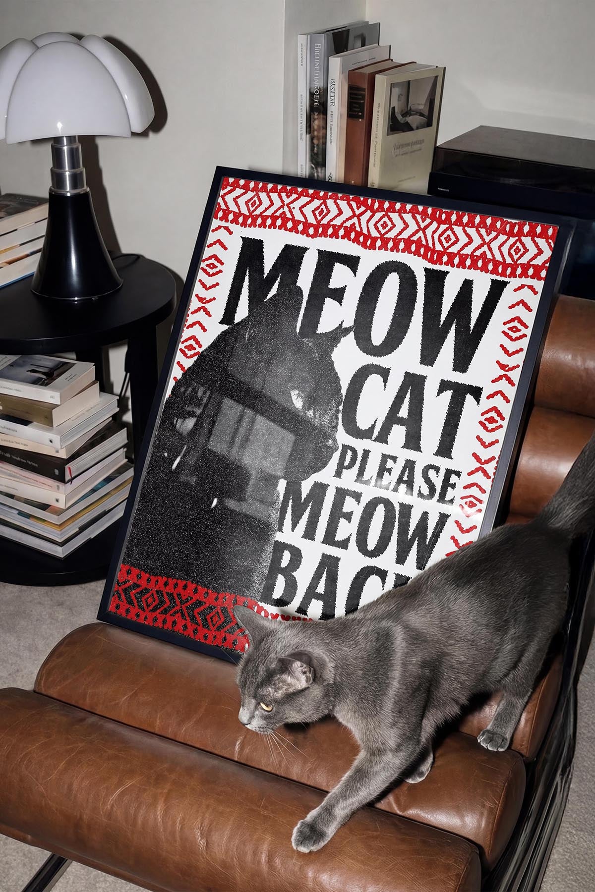 Meow Back