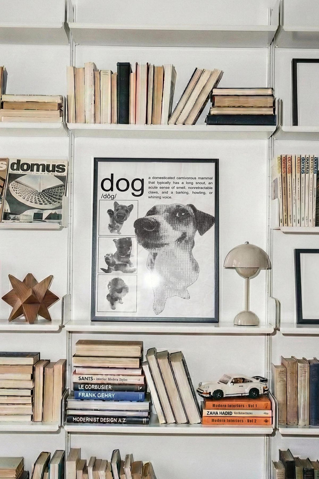 /Dog/