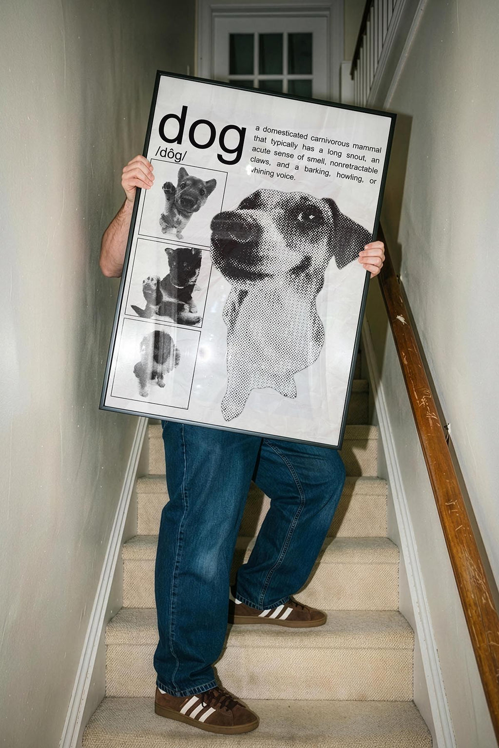 /Dog/