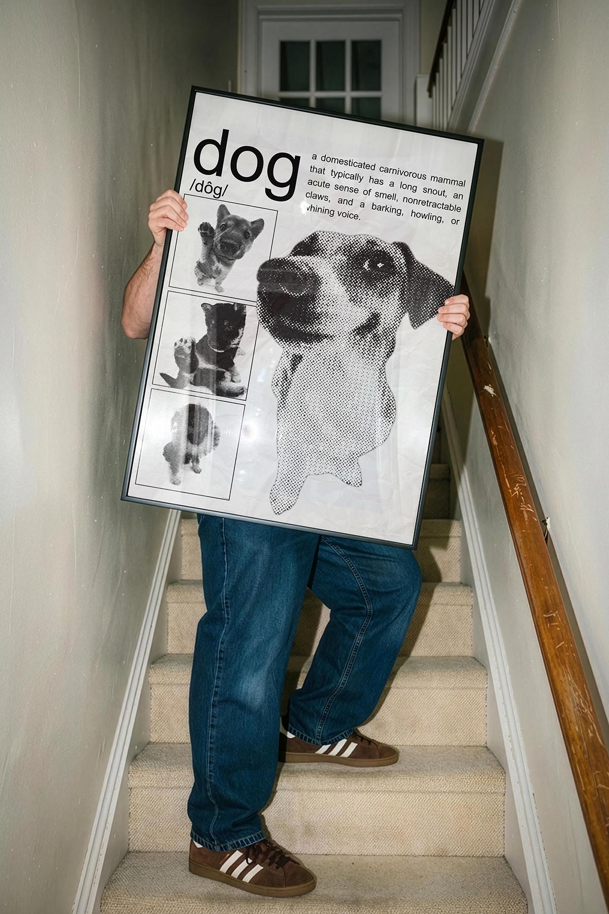 /Dog/