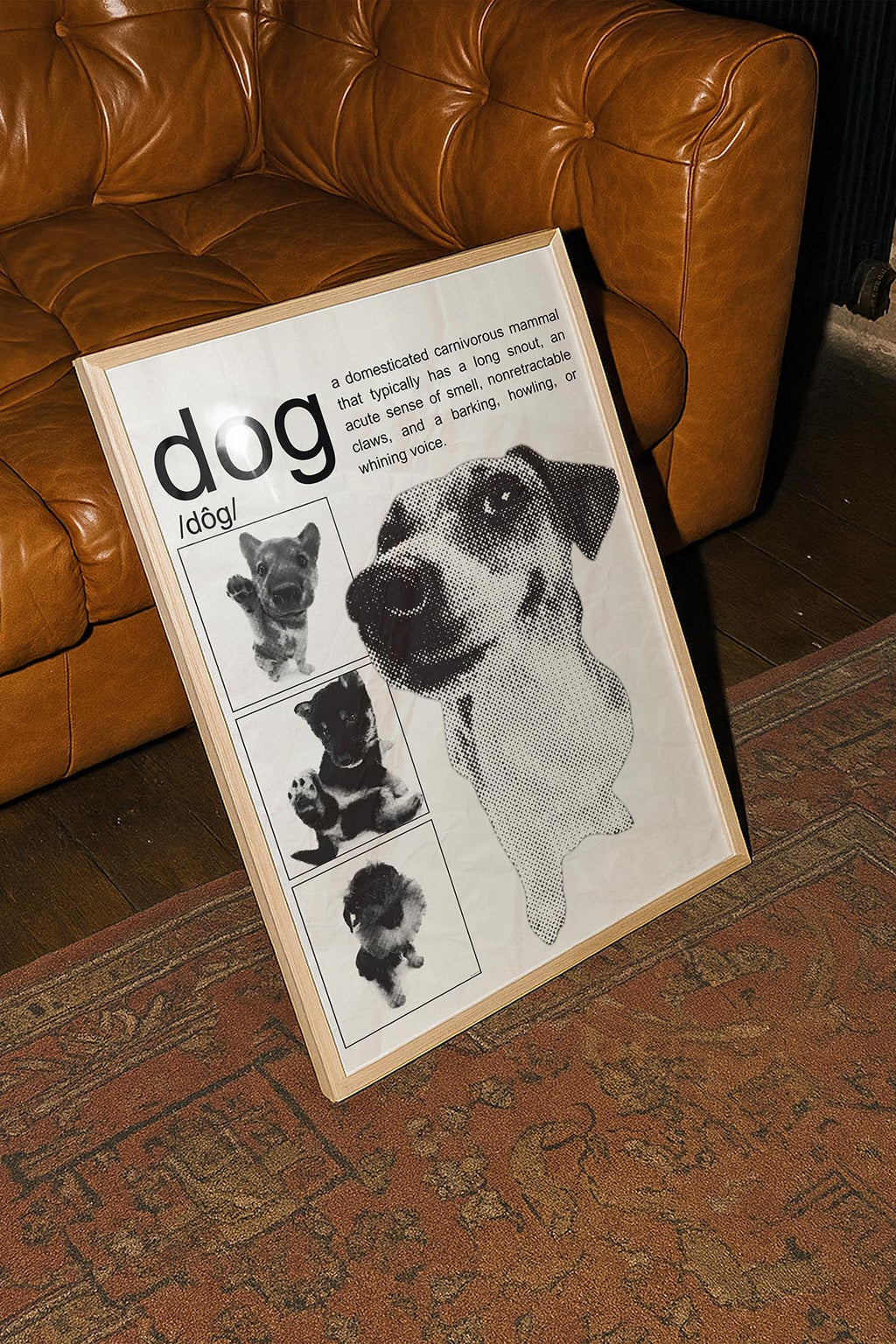 /Dog/