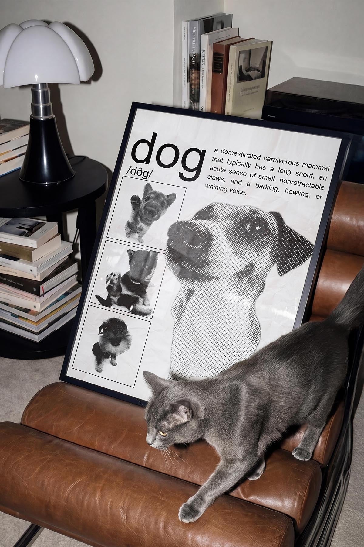 /Dog/