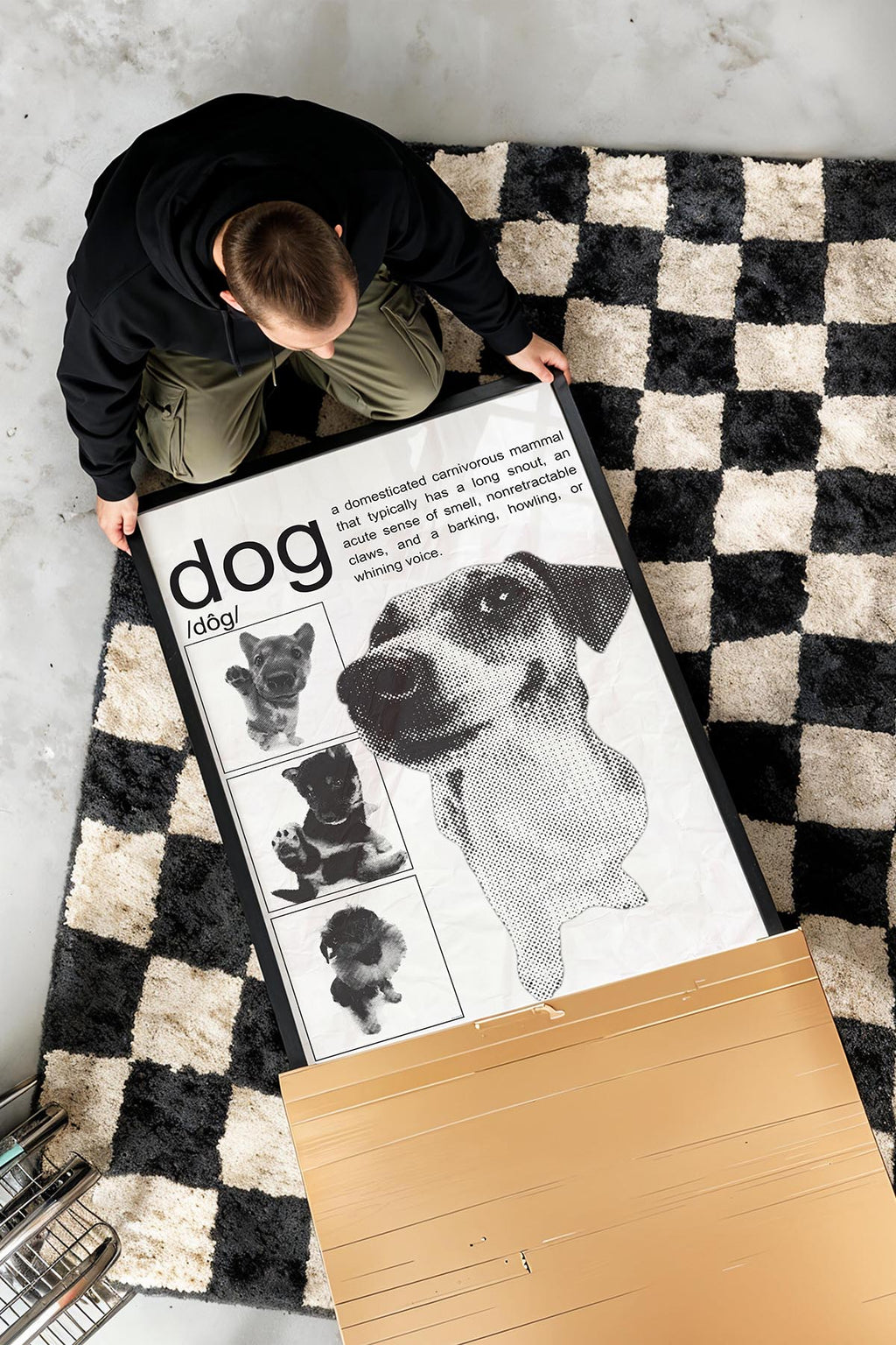/Dog/