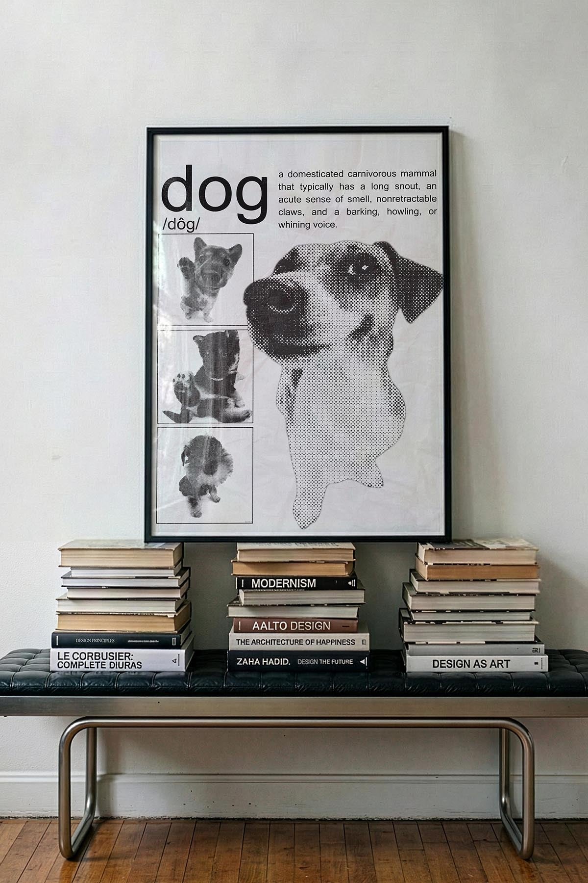 /Dog/