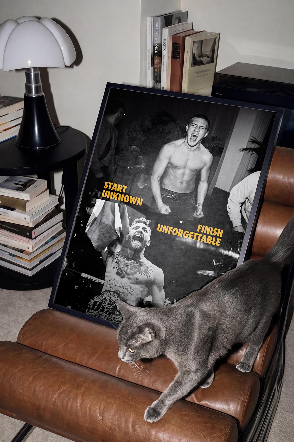 Mcgregor V2