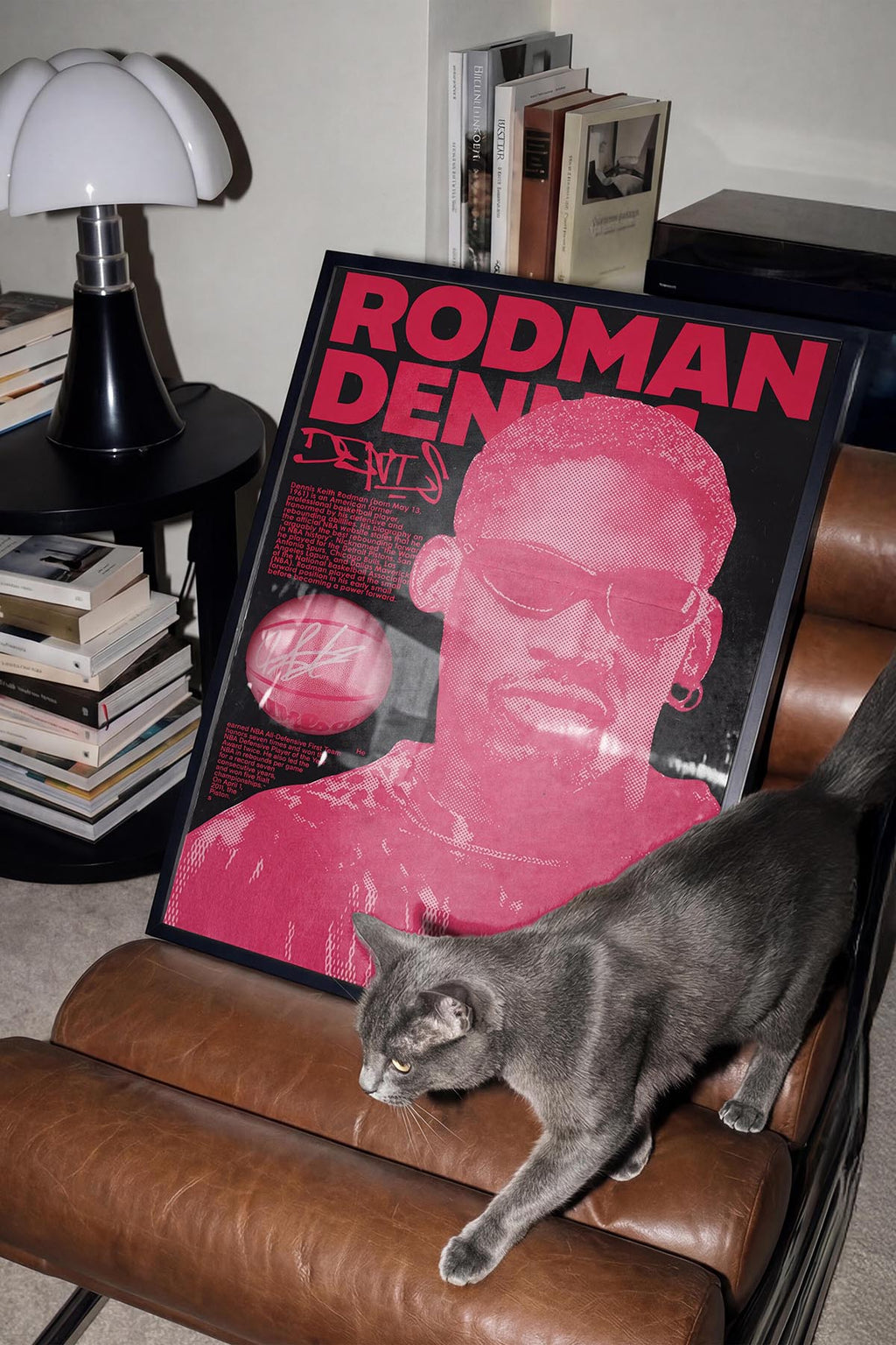 Rodman V2